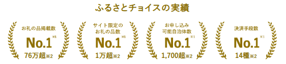 ふるさとチョイスの実績 No.1